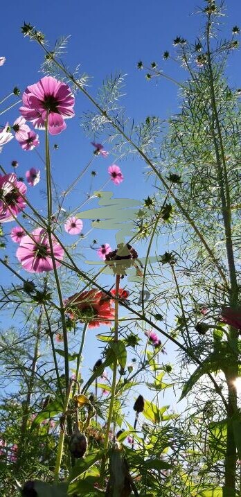 Gartengestaltung