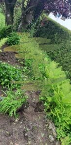 Gartengestaltung vorher